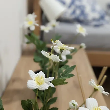 Appartement U Lazara *