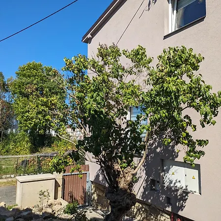 U Lazara Appartamento Kutná Hora